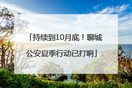 持续到10月底！聊城公安夏季行动已打响