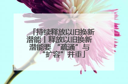 持续释放以旧换新潜能丨释放以旧换新潜能要 “疏通”与“扩容”并重