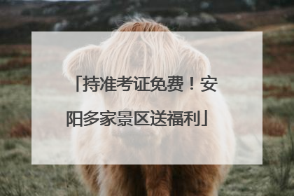 持准考证免费！安阳多家景区送福利