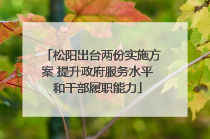 松阳出台两份实施方案 提升政府服务水平和干部履职能力