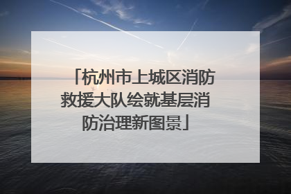 杭州市上城区消防救援大队绘就基层消防治理新图景