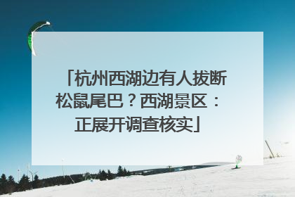 杭州西湖边有人拔断松鼠尾巴？西湖景区：正展开调查核实