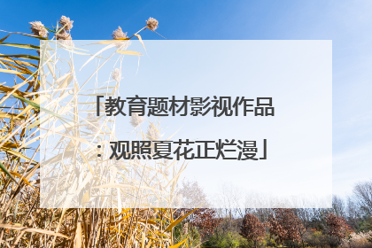 教育题材影视作品：观照夏花正烂漫