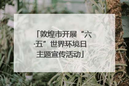 敦煌市开展“六·五”世界环境日主题宣传活动