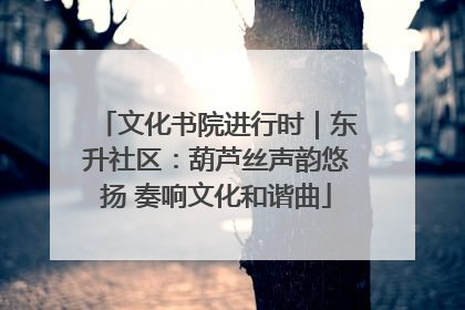 文化书院进行时｜东升社区：葫芦丝声韵悠扬 奏响文化和谐曲