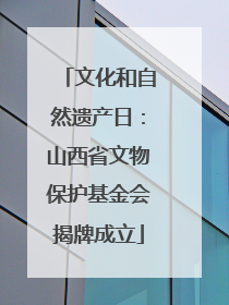 文化和自然遗产日：山西省文物保护基金会揭牌成立