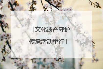 文化遗产守护传承活动举行