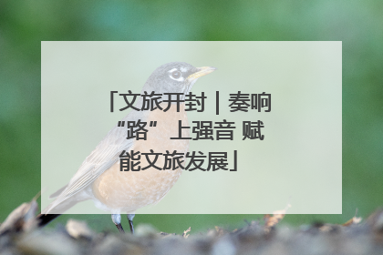 文旅开封｜奏响“路”上强音 赋能文旅发展