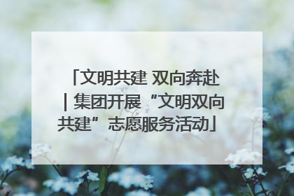 文明共建 双向奔赴｜集团开展“文明双向共建”志愿服务活动