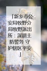 新乡市公安局牧野分局牧野派出所：深耕主防警务 守护辖区平安