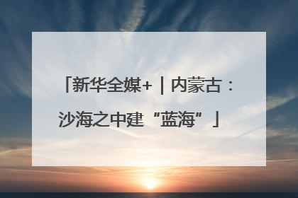 新华全媒+｜内蒙古：沙海之中建“蓝海”