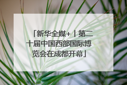 新华全媒+丨第二十届中国西部国际博览会在成都开幕
