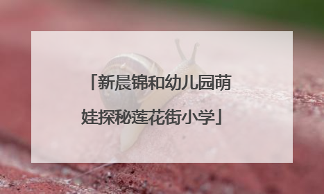 新晨锦和幼儿园萌娃探秘莲花街小学