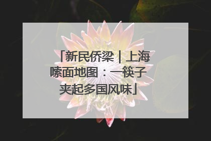 新民侨梁｜上海嗦面地图：一筷子夹起多国风味