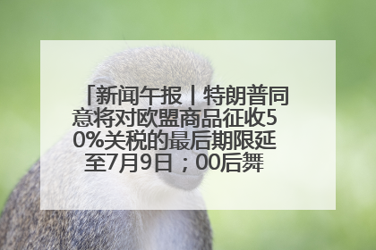 新闻午报丨特朗普同意将对欧盟商品征收50%关税的最后期限延至7月9日；00后舞蹈老师“花式”推介家乡岳阳>>
