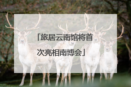 旅居云南馆将首次亮相南博会