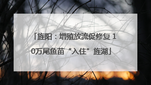 旌阳：增殖放流促修复 10万尾鱼苗“入住”旌湖