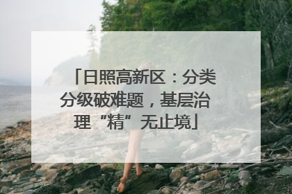 日照高新区：分类分级破难题，基层治理“精”无止境