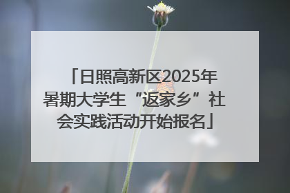 日照高新区2025年暑期大学生“返家乡”社会实践活动开始报名