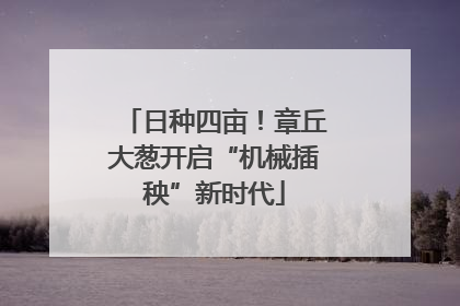 日种四亩！章丘大葱开启“机械插秧”新时代