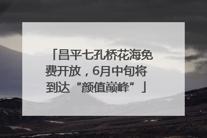 昌平七孔桥花海免费开放，6月中旬将到达“颜值巅峰”