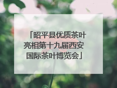 昭平县优质茶叶亮相第十九届西安国际茶叶博览会