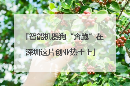 智能机器狗“奔跑”在深圳这片创业热土上