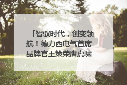 智驭时代，创变领航！德力西电气首席品牌官王策荣膺虎啸奖年度品牌人物
