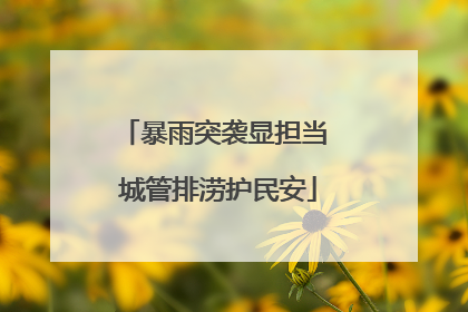 暴雨突袭显担当 城管排涝护民安