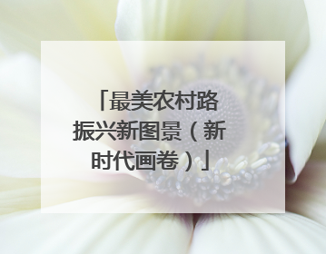 最美农村路 振兴新图景（新时代画卷）