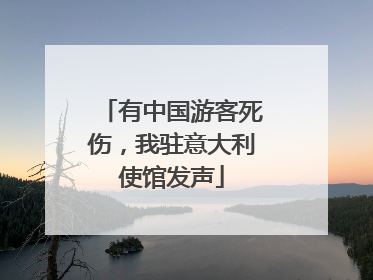 有中国游客死伤，我驻意大利使馆发声