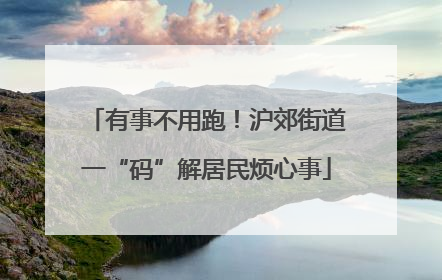 有事不用跑！沪郊街道一“码”解居民烦心事