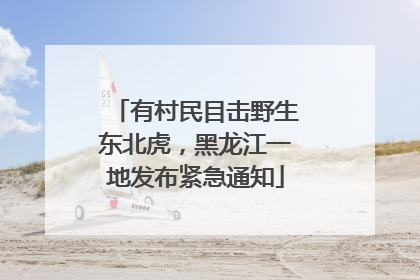 有村民目击野生东北虎，黑龙江一地发布紧急通知