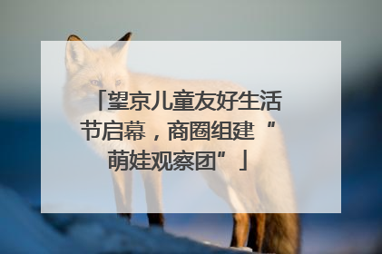 望京儿童友好生活节启幕，商圈组建“萌娃观察团”