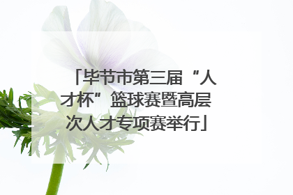 毕节市第三届“人才杯”篮球赛暨高层次人才专项赛举行