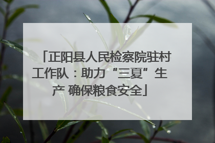 正阳县人民检察院驻村工作队：助力“三夏”生产 确保粮食安全