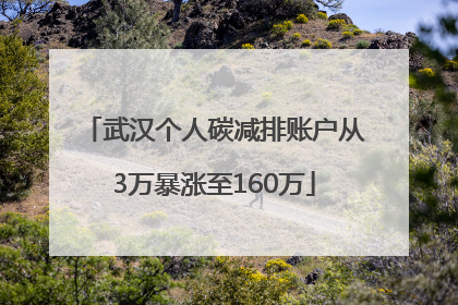 武汉个人碳减排账户从3万暴涨至160万
