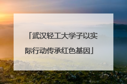 武汉轻工大学子以实际行动传承红色基因
