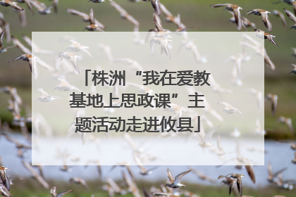 株洲“我在爱教基地上思政课”主题活动走进攸县