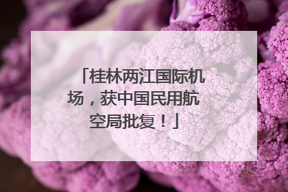 桂林两江国际机场，获中国民用航空局批复！