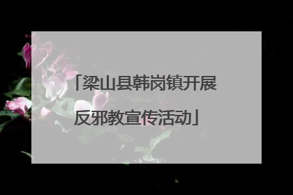 梁山县韩岗镇开展反邪教宣传活动