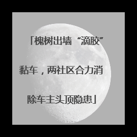 槐树出墙“滴胶”黏车，两社区合力消除车主头顶隐患