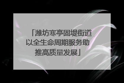潍坊寒亭固堤街道以全生命周期服务助推高质量发展
