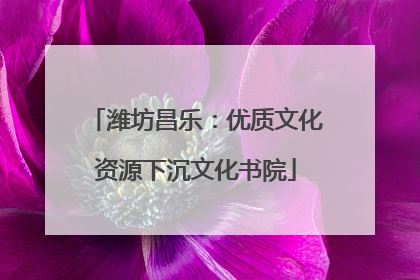 潍坊昌乐：优质文化资源下沉文化书院