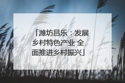 潍坊昌乐：发展乡村特色产业 全面推进乡村振兴