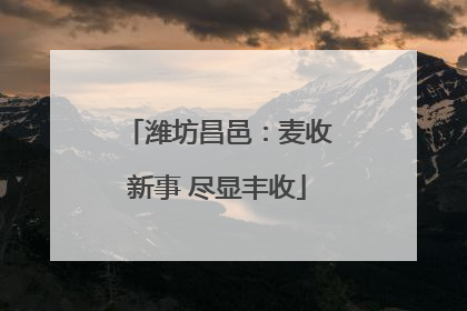 潍坊昌邑：麦收新事 尽显丰收