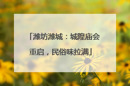 潍坊潍城：城隍庙会重启，民俗味拉满