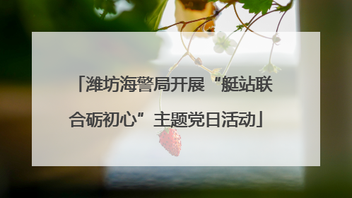 潍坊海警局开展“艇站联合砺初心”主题党日活动