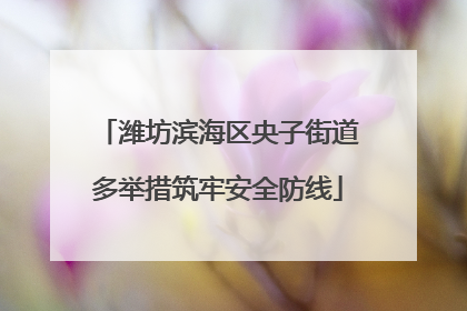 潍坊滨海区央子街道多举措筑牢安全防线