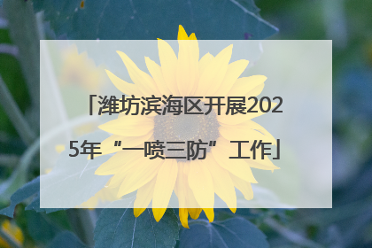 潍坊滨海区开展2025年“一喷三防”工作